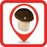 Mushrooms on the map