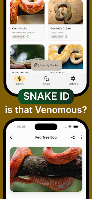 Snake ID: AI Snake Identifier Screenshot 0