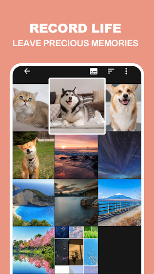 NovaGallery Screenshot 0