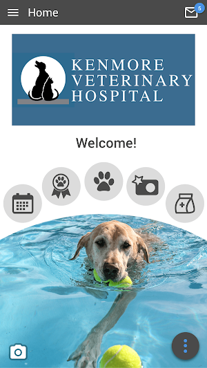 Kenmore Vet Screenshot 0