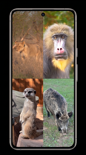 Multi Video Player - 9 Screens Screenshot 2