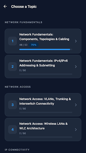 CCNA 200-301 Practice Screenshot 1