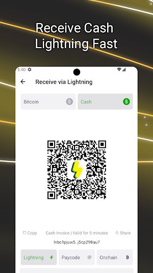Flash Screenshot 2