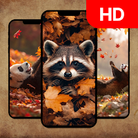 Autumn Vibes Wallpaper - HD 4K