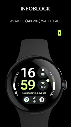 InfoBlock: Wear OS Watch face Screenshot 0