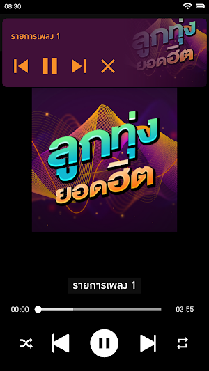 ลูกทุ่งยอดฮิต ฟังเพลงลูกทุ่งไม่ใช้เน็ต Screenshot 2