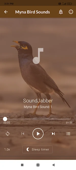 Mynas Bird Sounds Screenshot 1