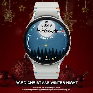 ACRO Christmas Winter Night Screenshot 1