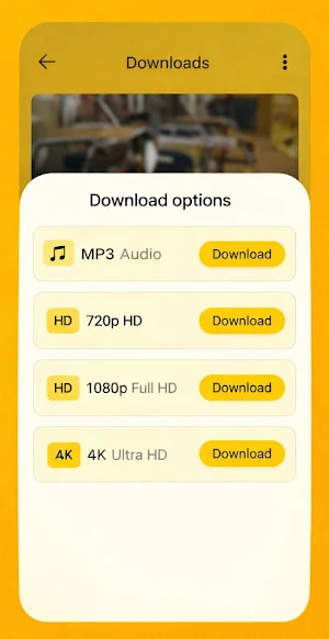All Video Downloader Old Screenshot 3