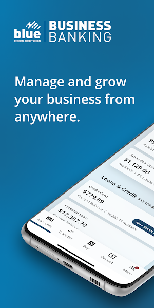 Blue Business Banking Screenshot 0