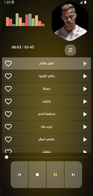اغاني سيلاوي بدون نت 2025 Screenshot 1