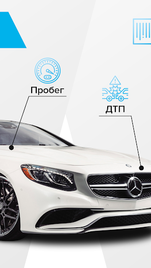 Проверка авто по БАЗЕ ГИБДД по VIN и ГОСНОМЕРУ Screenshot 1