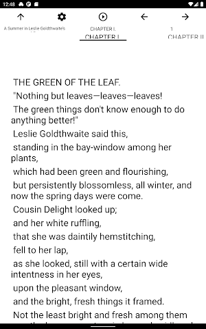 Book, A Summer in Leslie Goldthwaite's Life. Screenshot 3