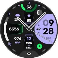 Omni 2: Hybrid Watch Face