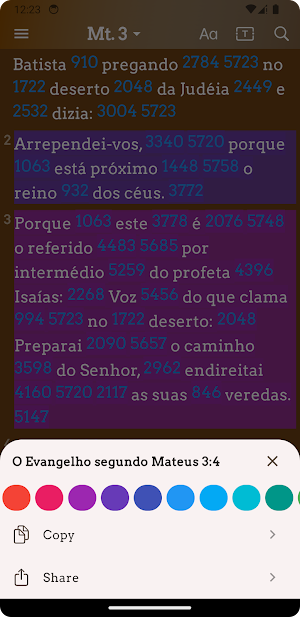 Bíblia Sagrada Concordância Screenshot 2
