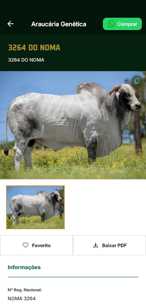 Araucária Genética Screenshot 2