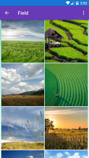 Field, Town, Village Wallpapers Screenshot 2