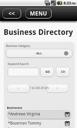 Sylvester-Worth County Chamber Screenshot 2