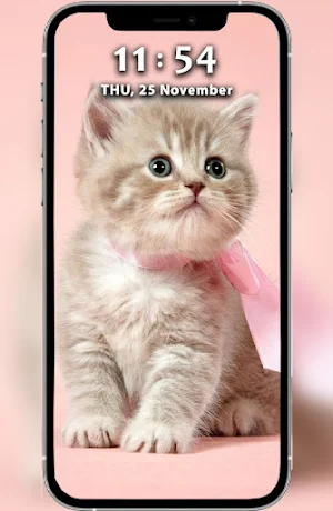 Cute Cat Wallpaper Offline HD Screenshot 3