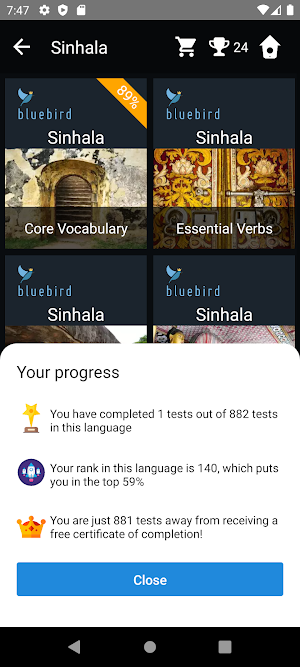 Sinhala Language Tests Screenshot 2