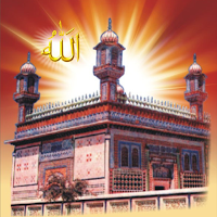 Sultan Bahoo Teachings
