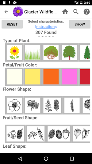 Glacier Wildflowers Screenshot 1