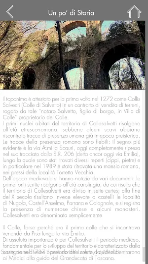 Collesalvetti Screenshot 2