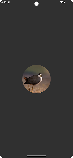 White-breasted waterhen Sounds Screenshot 0