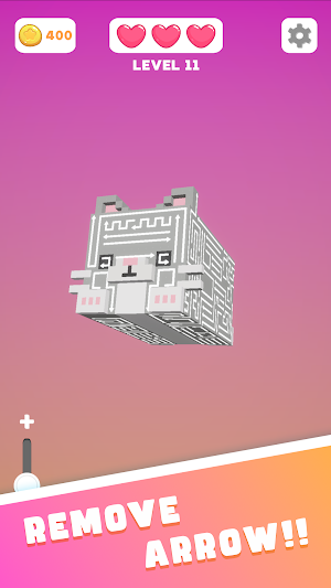Erase Arrows 3D Screenshot 0