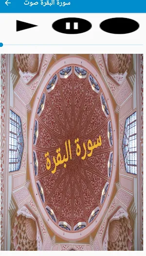 سورة البقرة - suratalbaqarah- Screenshot 3