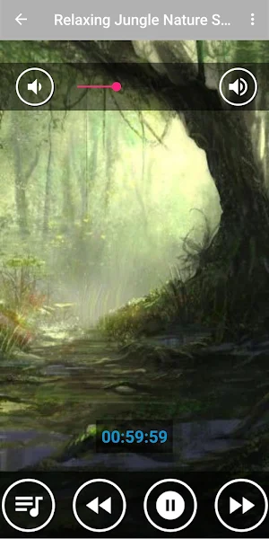 Jungle Natural Sound Screenshot 3