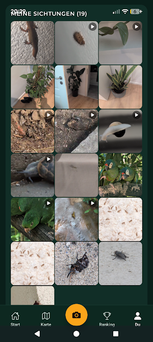 OpenInsect Plants & Insects Screenshot 2