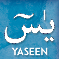 Surah Yaseen Audio Mp3 Offline and Reading