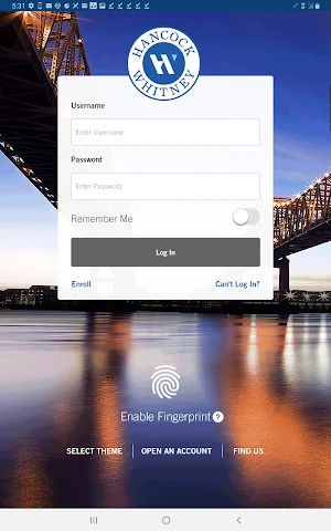 Hancock Whitney Tablet Screenshot 0