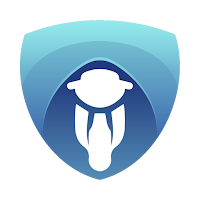 Moto Safeguard