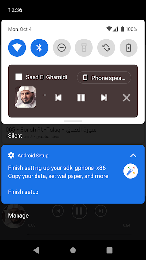 Saad El Ghamidi Quran Offline Screenshot 1