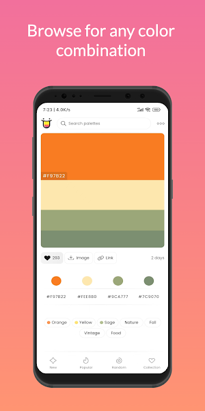 ColorHunt - Design Inspiration Screenshot 3