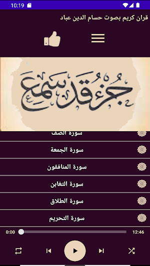 قران كريم بصوت حسام الدين عباد Screenshot 2