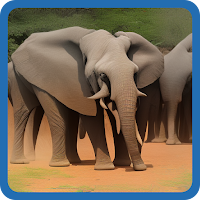KENYA BRAIN IQ