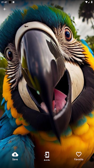 3D Animals Wallpapers Full HD Screenshot 1