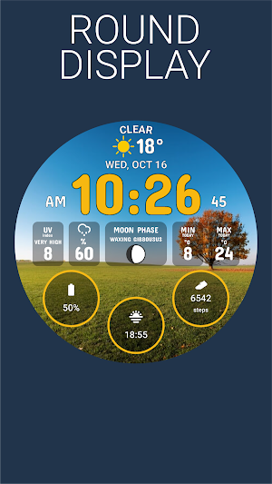 Weather Watch Face by HuskyDEV Screenshot 0
