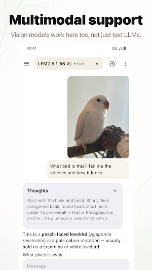 PocketLM: Local LLM & AI Chat Screenshot 1