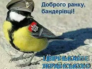 Картинки Доброго ранку 2023 Screenshot 2