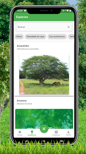 Amazon Pasto Screenshot 1