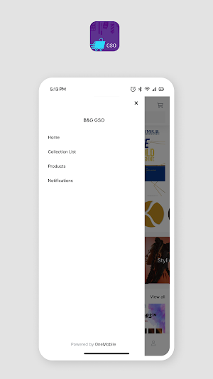 B&G MOBILE Screenshot 1