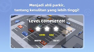ParkMaster Screenshot 2
