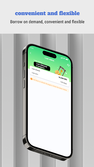 Helasasa-line of credit loan Screenshot 2