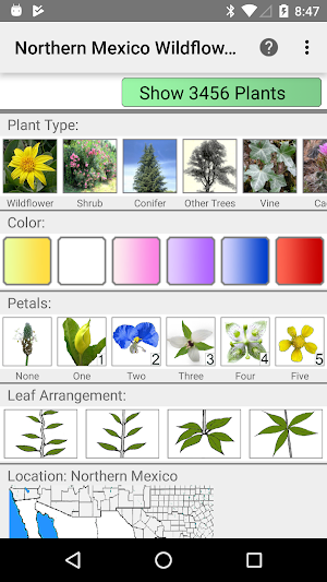 Northern Mexico Wildflowers Screenshot 0