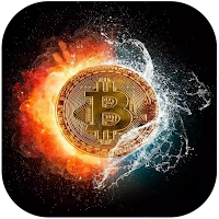 Crypto Coin Price