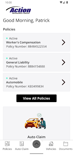 Action Insurance Group Screenshot 1